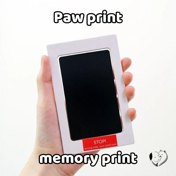 Paw Memory Print Kit