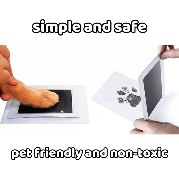 Paw Memory Print Kit