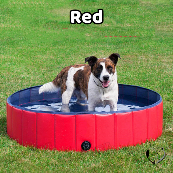 Foldable Dog Pool