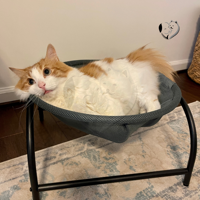 AirPaws Pet Hammock