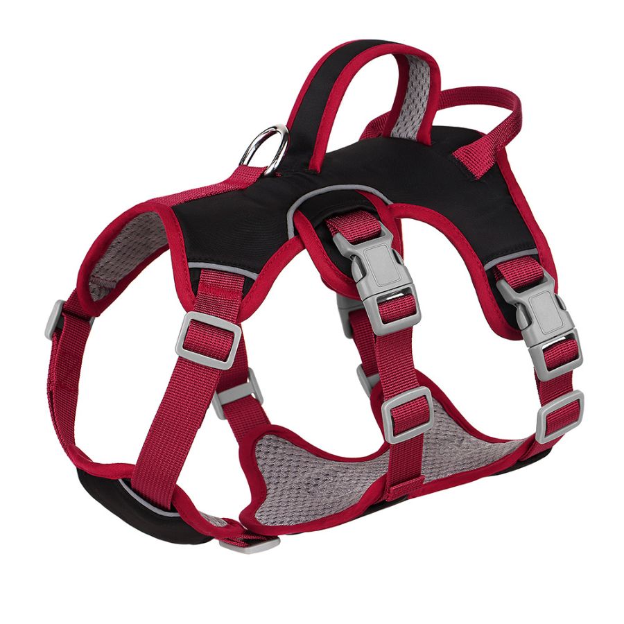 Flexible Dog Harness