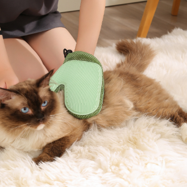 DuoClean Pet Glove